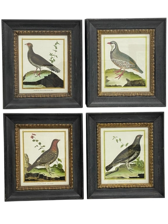 4 SOICHER-MARIN CUSTOM-FRAMED GAME BIRD PRINTS 17" (1 of 7)