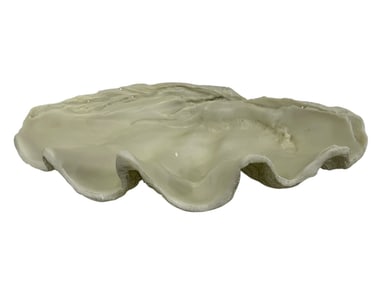 LARGE NATURALISTIC WHITE CLAM SHELL SCULPTURE 20"