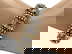 item-209081405=2