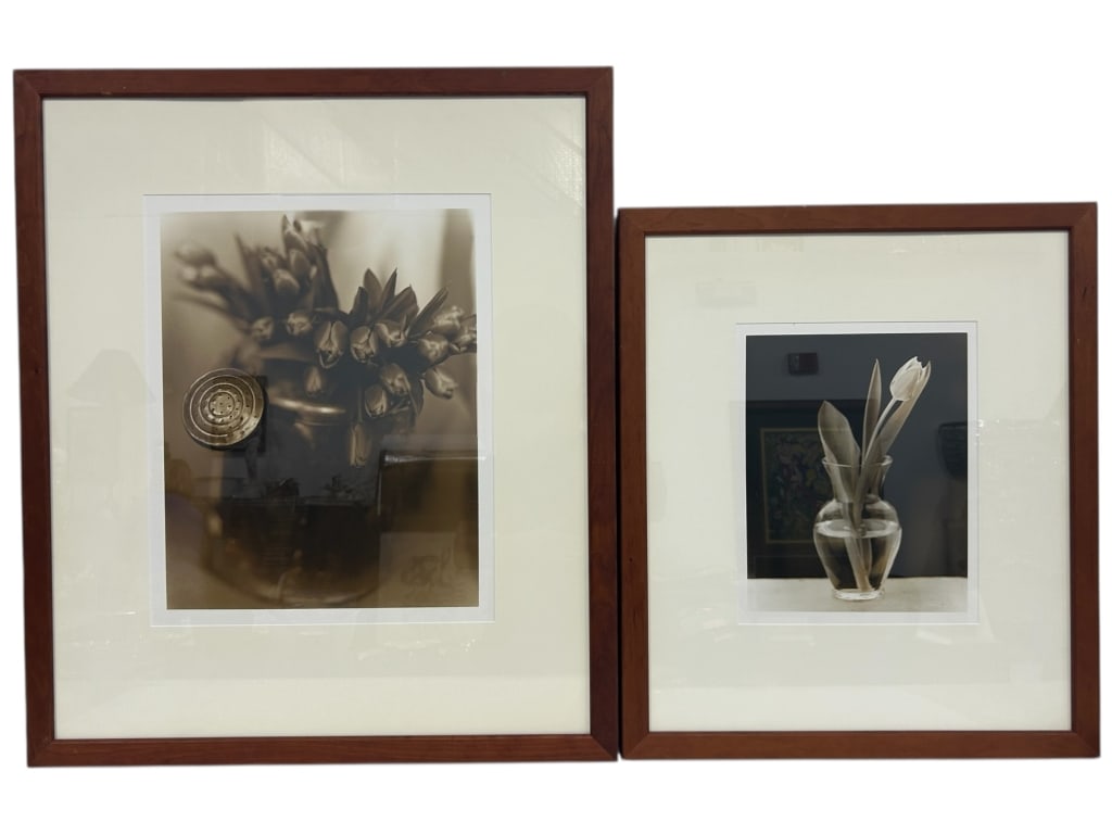 PAIR OF FRAMED PHOTOGRAPHS BY DANNY VEGA 31" (1 of 6)