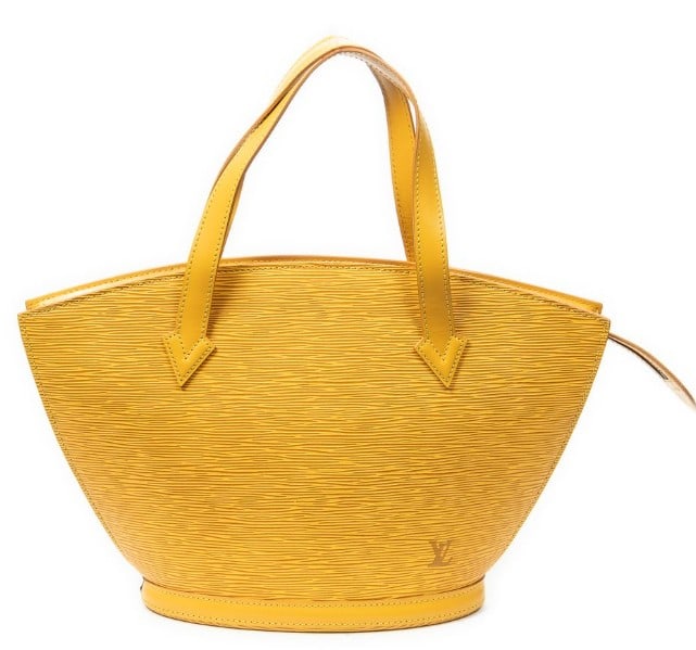 LOUIS VUITTON ST-JACQUES PM EPI (1 of 11)