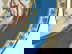 item-210820650=4