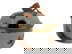 item-210820815=5