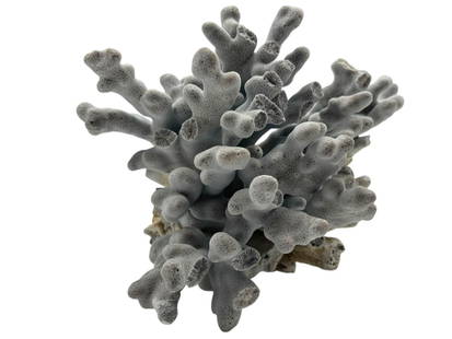 BLUE CORAL CLUSTER 8": BLUE CORAL CLUSTER 8" -GOOD PRE-OWNED CONDITION, SEVERAL CHIPPED PIECES -APPROX 8"x10"x9" - -BW 070925 By bidding on this item, y