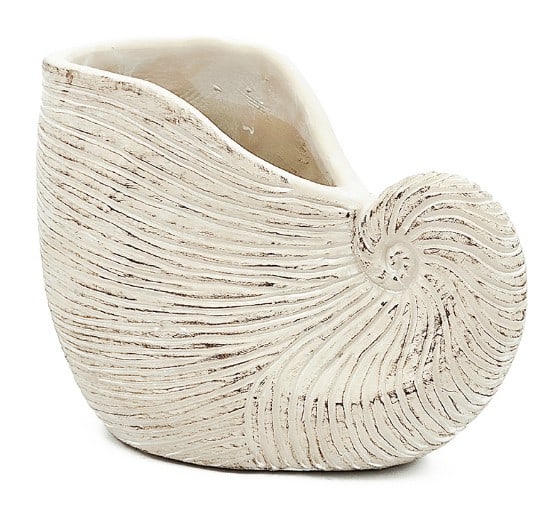 NEW! SAND AND CEMENT NAUTILUS SHELL PLANTER WITH " (1 of 7)