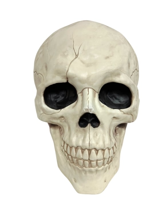 GIANT HALLOWEEN SKULL 18": GIANT HALLOWEEN SKULL 18" -VERY GOOD PRE-OWNED CONDITION -APPROX 18" -SCARE YOU FAMILY WITH THIS GIANT SKULL! WHO SAYS YOU HAVE TO WAIT FOR HALLOWEEN TO GET SPOOKY? PROP THIS PROP UP IN YOUR WINDOW AN