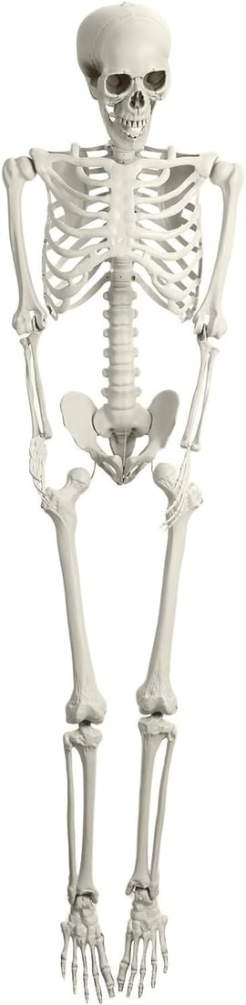 POSEABLE HALLOWEEN SKELETON PROP 65" (1 of 5)