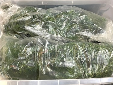 BIN OF HOLIDAY GREENERY