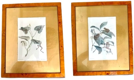 PAIR OF FRAMED BOTANICAL PRINTS 22"