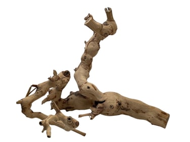 DRIFTWOOD BRANCH IN ORGANIC FORM 13"
