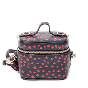 DIOR MICRO LADY DIOR VANITY CASE HEART PRINT BAG