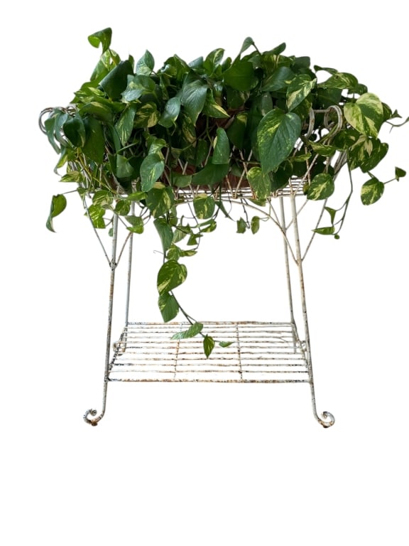 VINTAGE WHITE WROUGHT IRON PLANTER STAND (1 of 7)