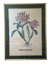 THE NEW YORK BOTANICAL GARDEN ORCHID PRINT 36"