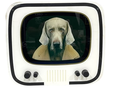 VINTAGE STYLE DOG PORTRAIT RETRO 3D T.V. FRAME 13"
