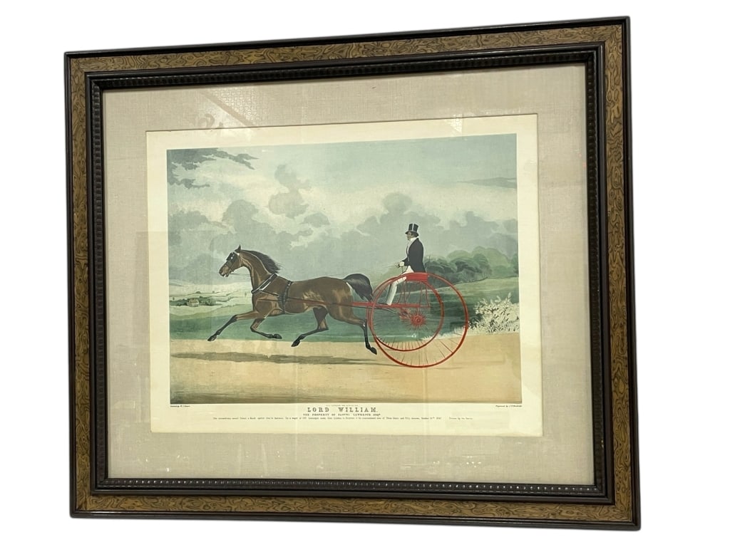 FRAMED EQUESTRIAN PRINT “LORD WILLIAM?? 35" (1 of 6)