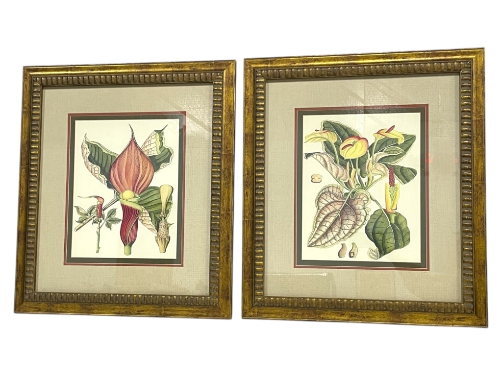 PAIR OF FRAMED BOTANICAL PRINTS 25" (1 of 4)