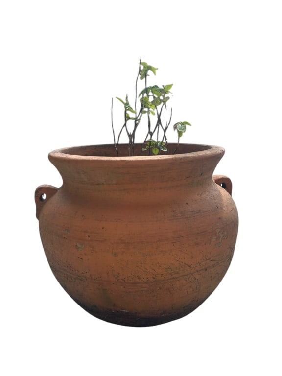LARGE RUSTIC TERRACOTTA HANDLED PLANTER (1 of 3)