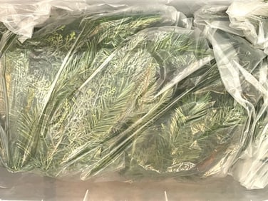BIN OF HOLIDAY GARLAND AND GREENERY