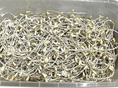 BIN OF WHITE MINI HOLIDAY STRING LIGHTS