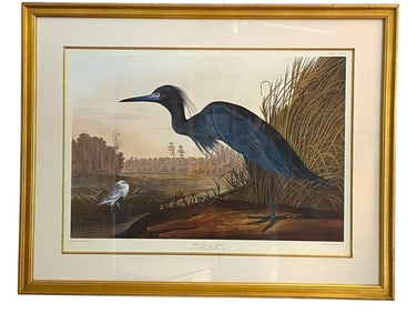 AFTER JOHN JAMES AUDUBON BLUE CRANE PRINT  38"