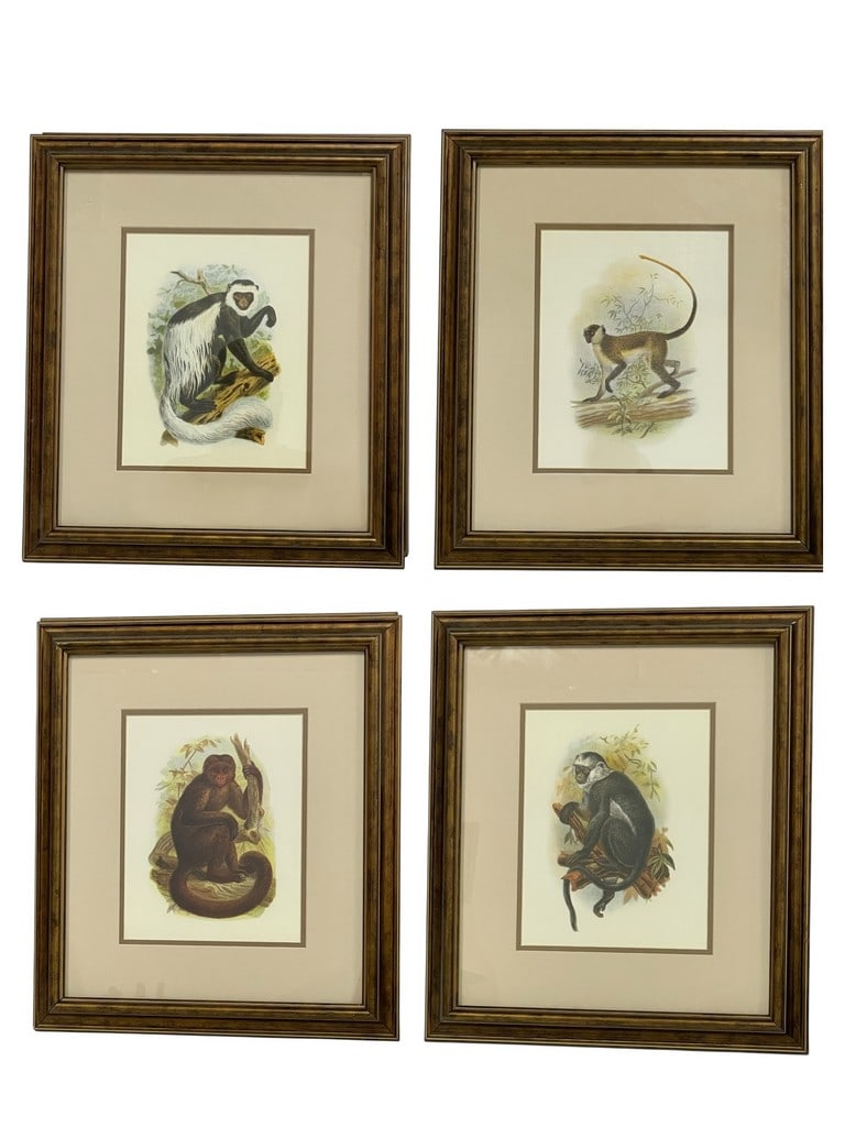 FOUR FRAMED NATURAL HISTORY MONKEY PRINTS (1 of 7)