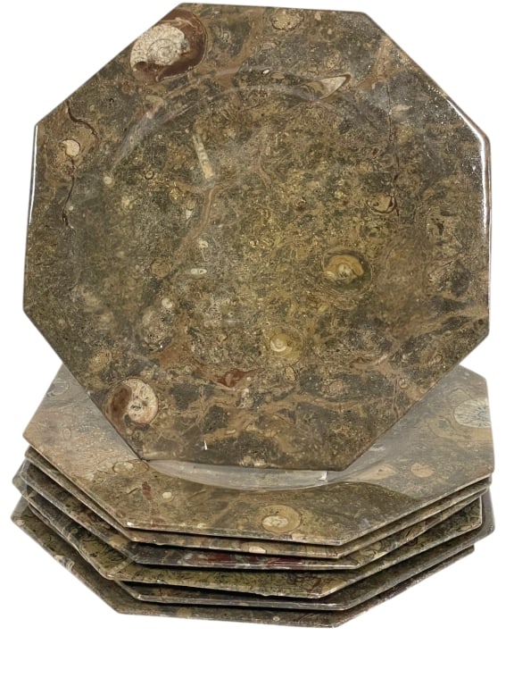 SIX JUNG LEE NY POLISHED OCTAGONAL FOSSIL PLATES (1 of 6)