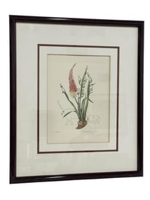 1972 SALVADOR DALI SIGNED ETCHING PRINT RHINOCERUS