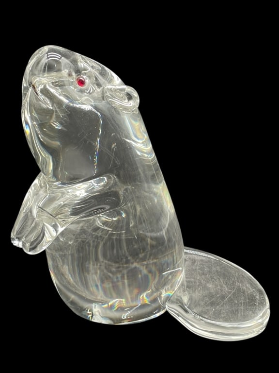 STEUBEN ART GLASS BEAVER SCULPTURE W RED EYES 6": STEUBEN ART GLASS BEAVER SCULPTURE W RED EYES 6" -Very good pre owned condition -Approx 6"h x 5"w x 6"d -Clear art glass beaver figurine featuring a smooth rounded body, detailed paws, and a flat tail