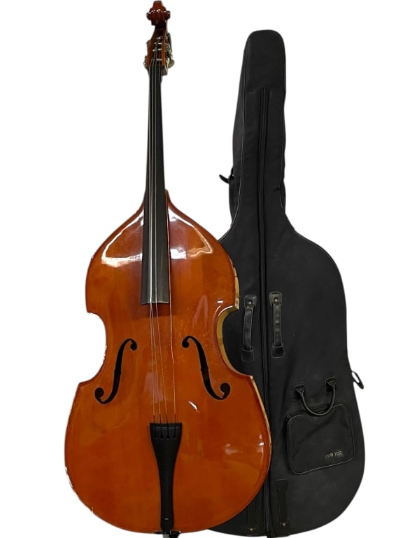 STRUNAL 3/4 SZ DOUBLE BASS UPRIGHT 5/35 W CASE (1 of 12)