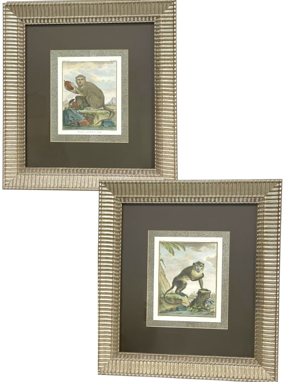 PAIR OF FRAMED HAND-COLORED MONKEY ENGRAVINGS 20" (1 of 6)