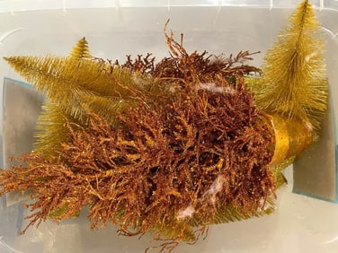 LOT OF GLITTERED HOLIDAY DECOR TREES