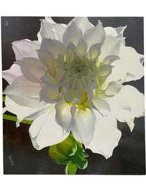 BRIAN DAVIS PINK DAHLIA CANVAS GICLEE PRINT 40"