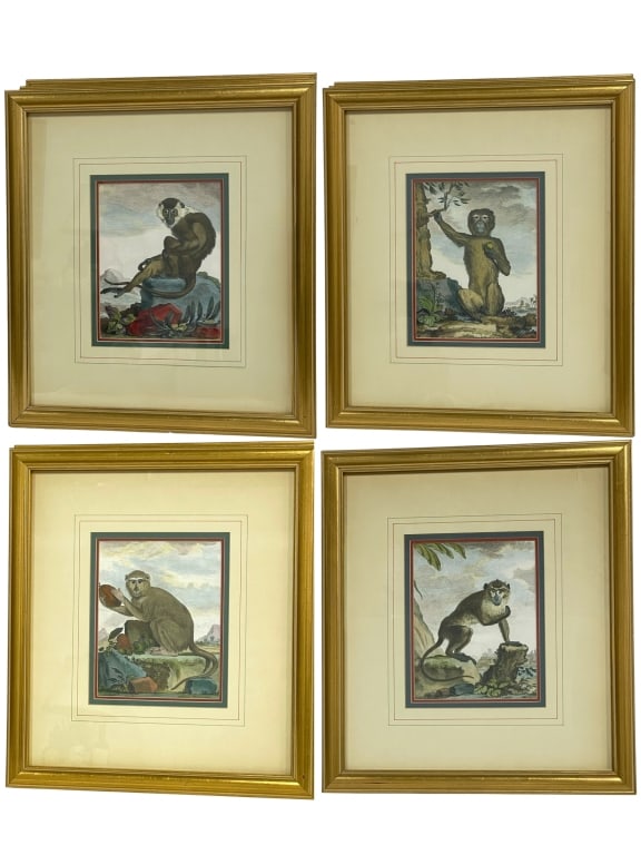 4 HAND-COLORED 19TH CENTURY-STYLE MONKEY PRINTS (1 of 6)