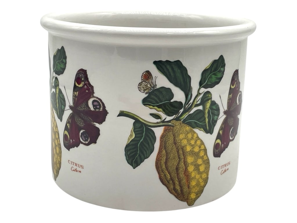 PORTMEIRION BOTANIC GARDEN PLANTER/CANISTER 6.5" (1 of 6)