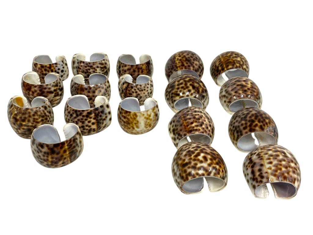 18 COWRIE SHELL NAPKIN RINGS (1 of 5)