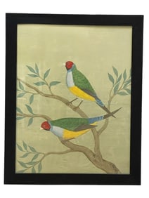 PAIR OF COLORFUL GOULDIAN FINCHES FRAMED PRINT 44"