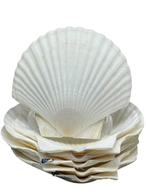 6 VINTAGE JAPANESE CLAM SHELL DISHES 5"