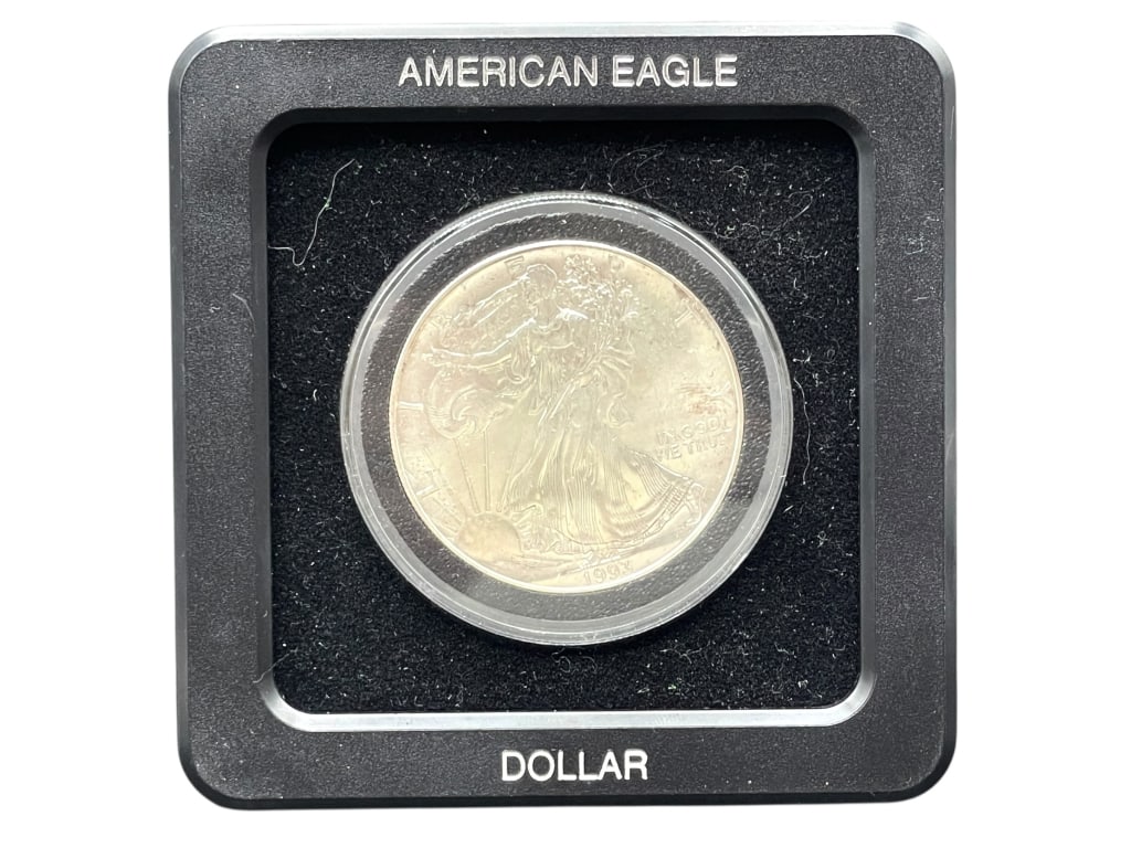 1993 AMERICAN EAGLE SILVER DOLLAR IN CASE (1 of 5)