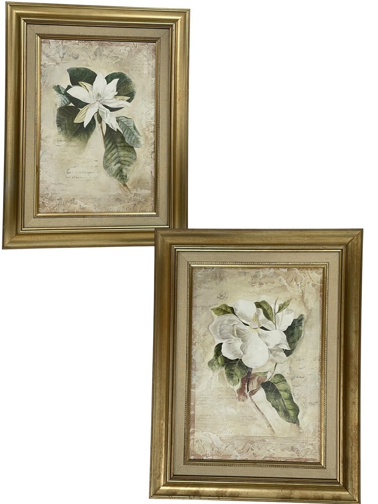FRAMED TRADITIONAL MAGNOLIA BOTANICAL PRINTS 30" (1 of 5)