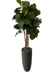 FAUX FIDDLE LEAF FIG TREE IN MODERN PLANTER