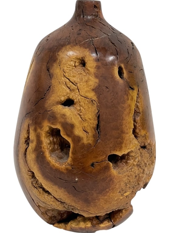 NATURAL BURL WOOD HOLLOW FORM SCULPTURE VASE 10": NATURAL BURL WOOD HOLLOW FORM SCULPTURE VASE -Striking natural burl wood hollow form sculpture featuring dramatic organic voids, fissures, and rich tonal variation throughout the polished surface. The