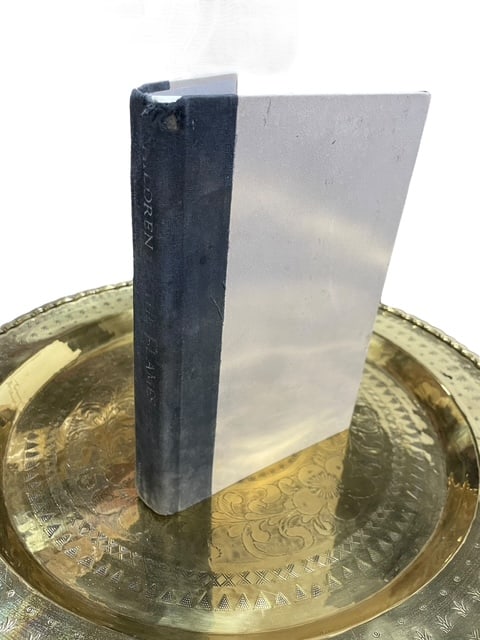 CHILDREN OF THE FLAMES HARDCOVER 1ST EDITION BOOK: - "Children of the Flames" by Legnado and Dekel - Fair to good condition with some signs of aging/storage - No paper cover - see all photographs for details msn By bidding on this listing, you underst