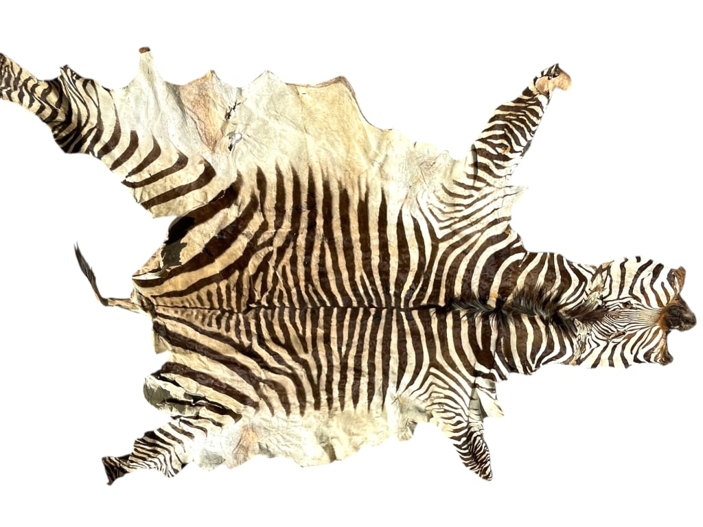 NATURAL ZEBRA HIDE RUG WITH STRIPED PATTERN (1 of 11)