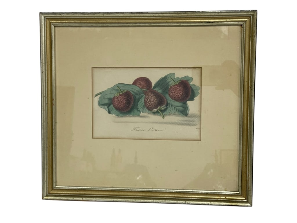 ANTIQUE BOTANICAL STRAWBERRY PRINT: ANTIQUE BOTANICAL STRAWBERRY PRINT “FRAISE OCTAVE” IN GILT FRAME -Antique botanical print titled Fraise Octave, featuring detailed strawberries with lush green foliage, executed in rich natura