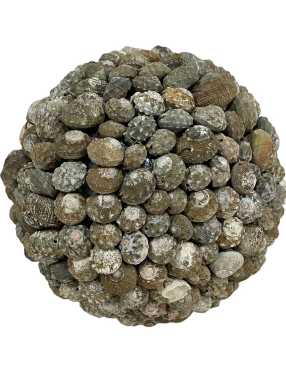 LARGE NATURAL SEASHELL SPHERE (1 of 5)