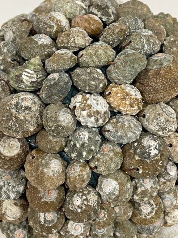 LARGE NATURAL SEASHELL SPHERE - 4