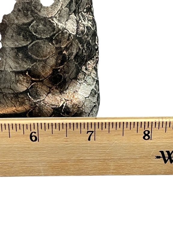 PINKY PYTHON EMBOSSED METALLIC CROSSBODY - 4