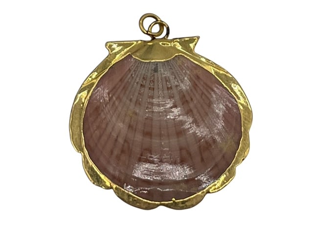 GOLD EDGED SEASHELL RED FAN SHELL PENDANT 1.5" (1 of 4)