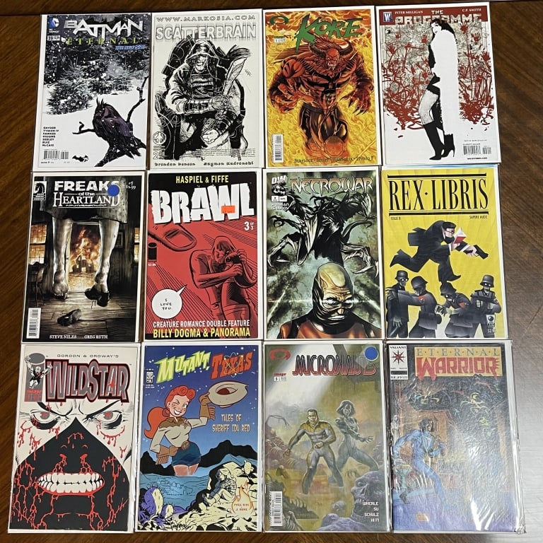 LOT OF 12 MIXED INDIE HORROR FANTASY COMICS: For ALTERNATE shipping quote or LOCAL PICK-UP DETAILS, please visit dejavuauctionshipping.com LOT OF 12 MIXED COMICS INCLUDING BATMAN ETERNAL, SCATTERBRAIN, KORE, FREAK OF THE HEARTLAND, BRAWL, NECROW