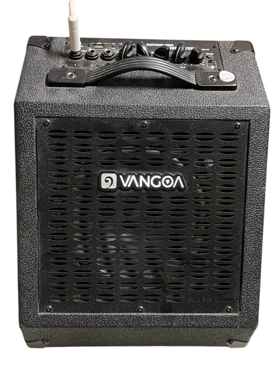 MAKA CABLE WITH VANGOA AMP (1 of 5)
